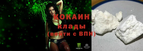 гидра Гусиноозёрск