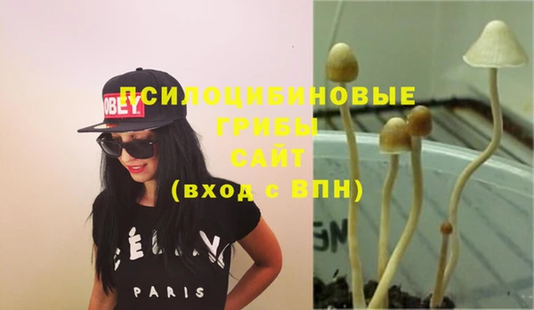 прущая мука Дмитров