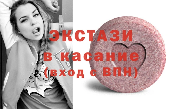 ECSTASY Гусь-Хрустальный